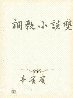 调教小说双男男