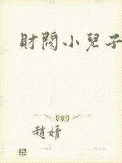财阀小儿子