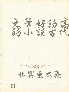 文笔好的高质量的小说古代言情推荐