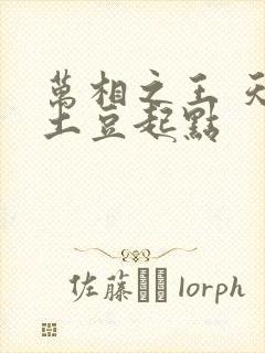 万相之王 天蚕土豆起点