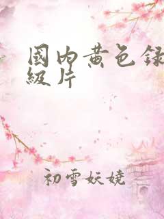 国内黄色录像一级片