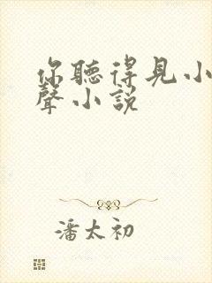 你听得见小说有声小说