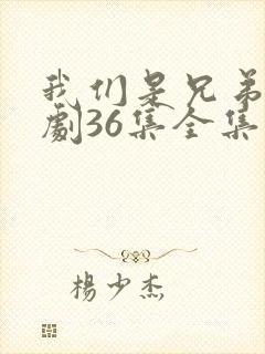 我们是兄弟电视剧36集全集播放