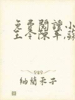 免费阅读小说龙王令陈平,苏雨琪