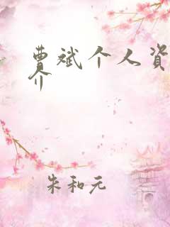 曹斌个人资料简介