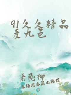 91久久精品国产九色