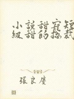小说甜宠短篇超级甜的总裁文
