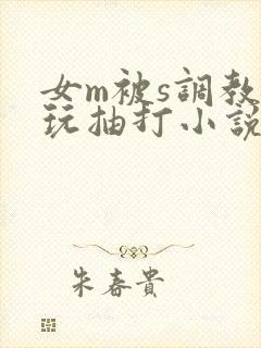 女m被s调教虐玩抽打小说