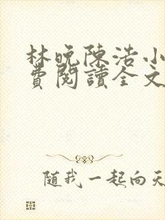 林晚陈浩小说免费阅读全文最新章节