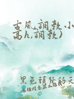 古风调教小说(高h,调教)