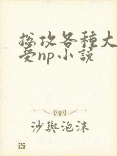 总攻各种大胸奶受np小说