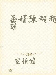 岳婿陈超赵悦小说