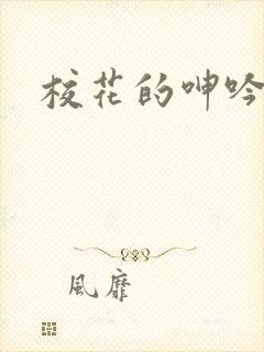 校花的呻吟小说