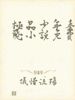 极品少年秦姨小飞小说免费阅读