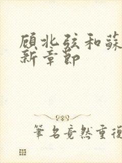 顾北弦和苏o最新章节