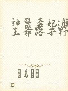 神医毒妃:腹黑王爷路子野