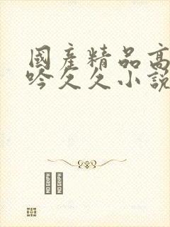 国产精品高潮呻吟久久小说