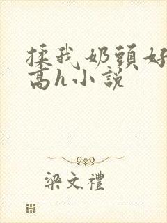 揉我奶头好痛嗯高h小说