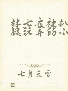 林七夜被扒开双腿玩弄的小说