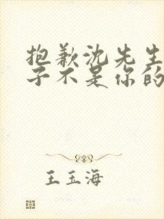 抱歉沈先生,孩子不是你的短剧资源