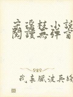 宋瑶枝小说免费阅读无弹窗最新章节