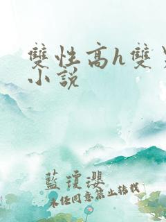 双性高h双男主小说