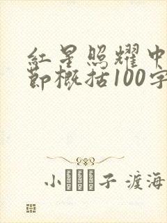 红星照耀中国章节概括100字