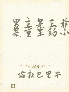 男主是王爷女主是重生的小说