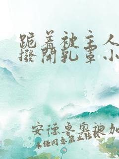 跪着被主人调教拨开乳罩小说