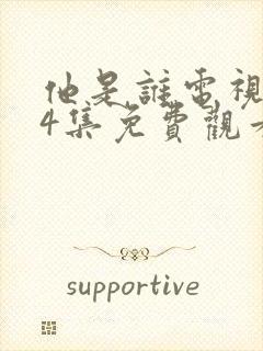 他是谁电视剧24集免费观看