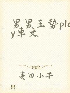 男男玉势play车文