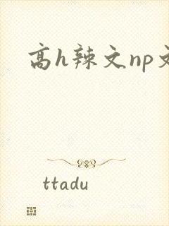 高h辣文np文