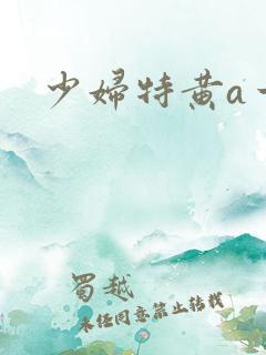 少妇特黄a一区