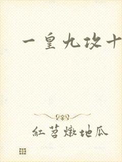 一皇九攻十二妻