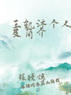 王凯沐个人资料及简介