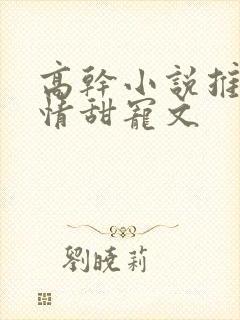 高干小说推荐言情甜宠文