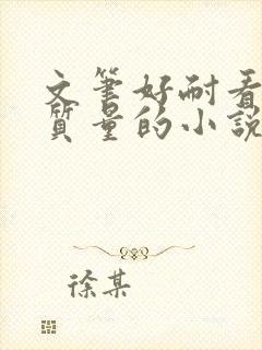 文笔好耐看的高质量的小说言情