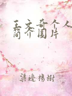 王文奇个人资料简介图片