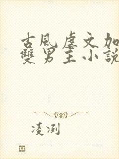 古风虐文加虐身双男主小说