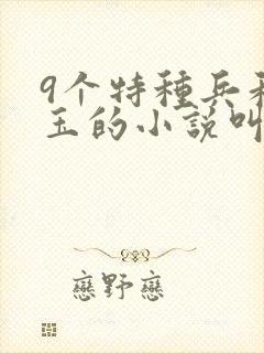 9个特种兵和阿玉的小说叫什么