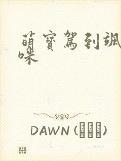 萌宝驾到飒爽妈咪