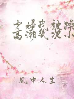 少妇我被躁爽到高潮几次小说