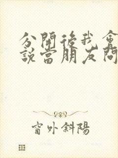 分开后我会笑着说当朋友问你关于我歌词