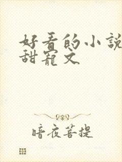 好看的小说推荐甜宠文