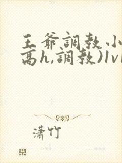 王爷调教小说(高h,调教)1v1