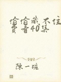 偷偷藏不住 免费看40集