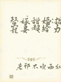 替嫁甜婚:总裁宠妻超给力