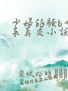 少妇的骚b艹起来真爽小说