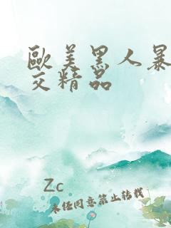 欧美黑人暴力猛交精品