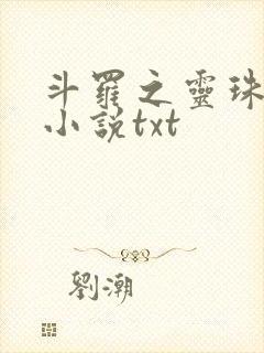 斗罗之灵珠神剑小说txt